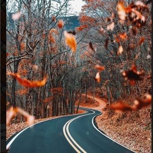 Meet your Posher, Mckenzie